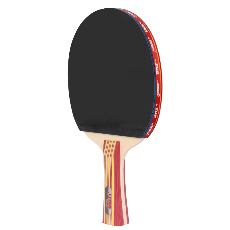 DHS Horizontal and Vertical Grip Table Tennis Paddle Set with Paddle Case and Ping Pong Ball II Model