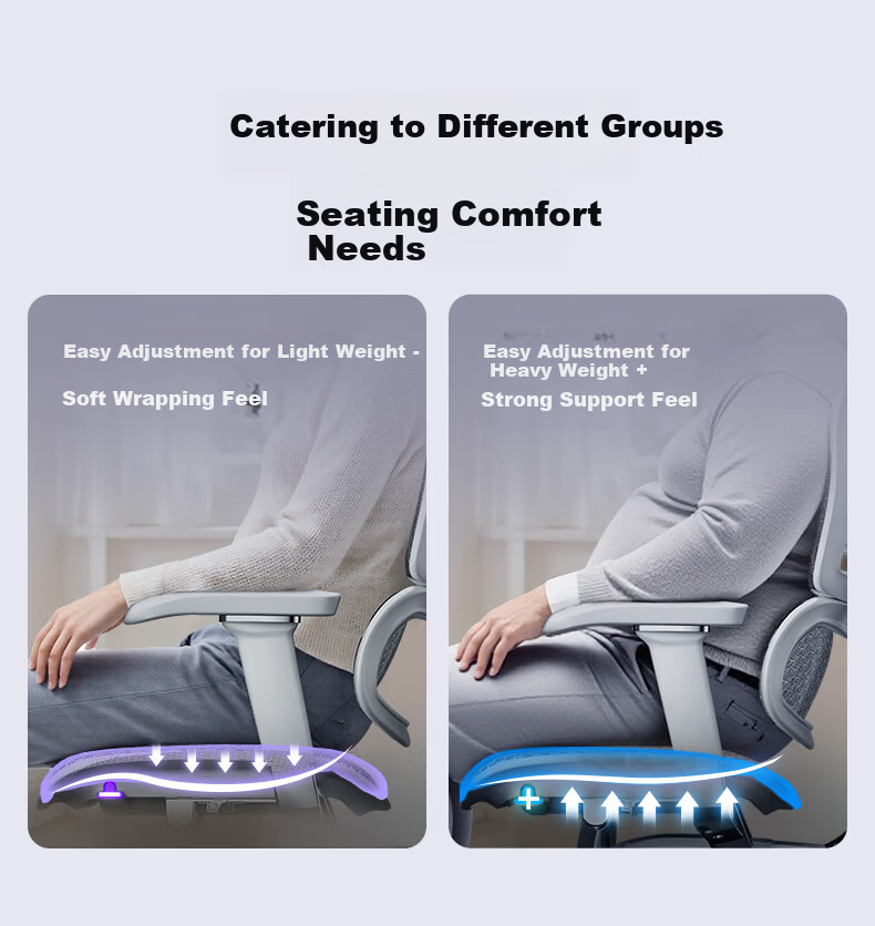 Ergonor Baoyou Jinhao E2 Pro Flagship Ergonomic Office Chair Computer Chair Silver White Mesh 7