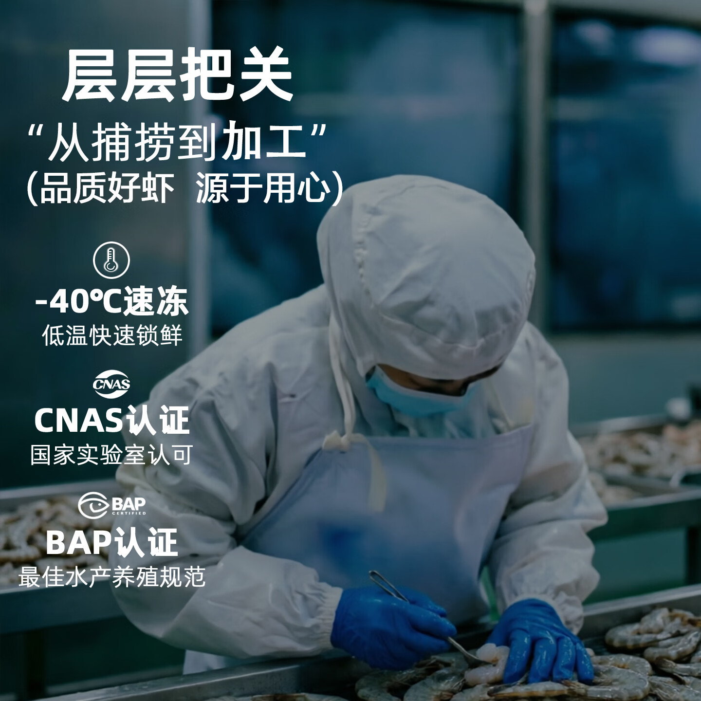 环球水产鲜冻白虾（大号） 去冰净重4斤 80-100只 生鲜 海鲜烧烤 家庭送礼