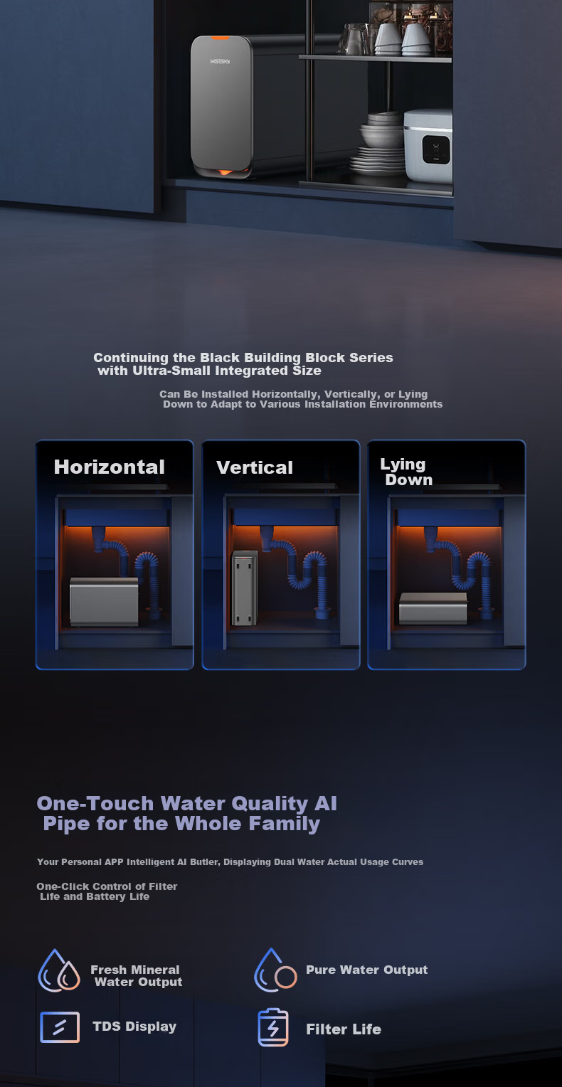 WISESKY Weiskar Black Building Blocks 3.0 Pure Mineral Dual Outlet Under-Sink Water Purifier RO Reverse Osmosis M5 Household Water Filter 15