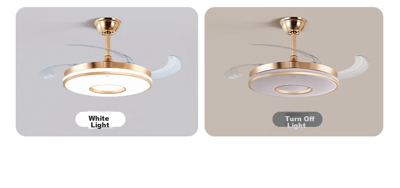 ASUS Lighting American Cree LED Silent Fan Light Modern Gold Invisible Blade Ceiling Fan Light for Dining Room and Bedroom 28
