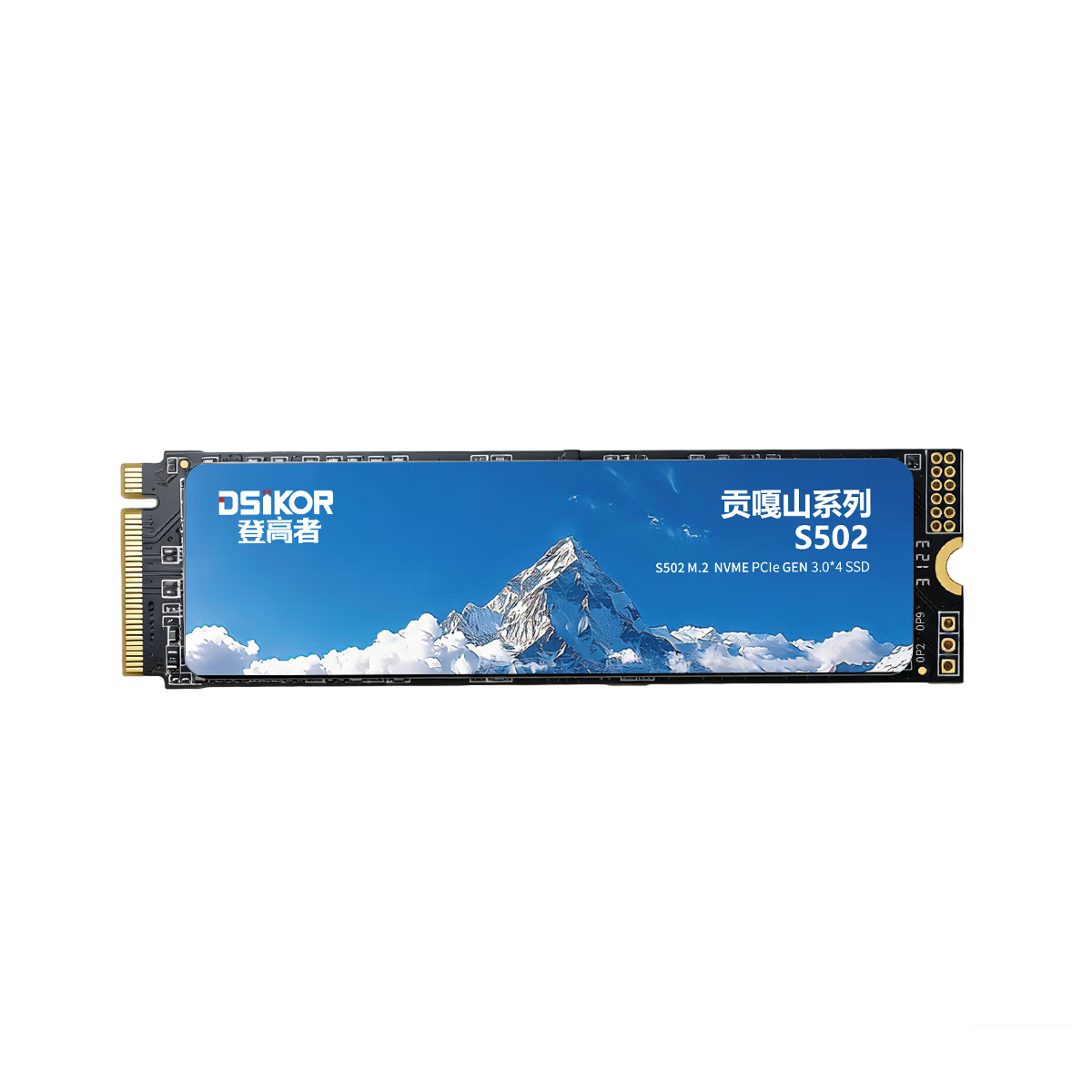 DengGaoZhe 512GB SSD Solid State Drive M.2 NVMe PCIe 3.0 Desktop All-in-One Laptop Storage Accessory Gongga Mountain S502