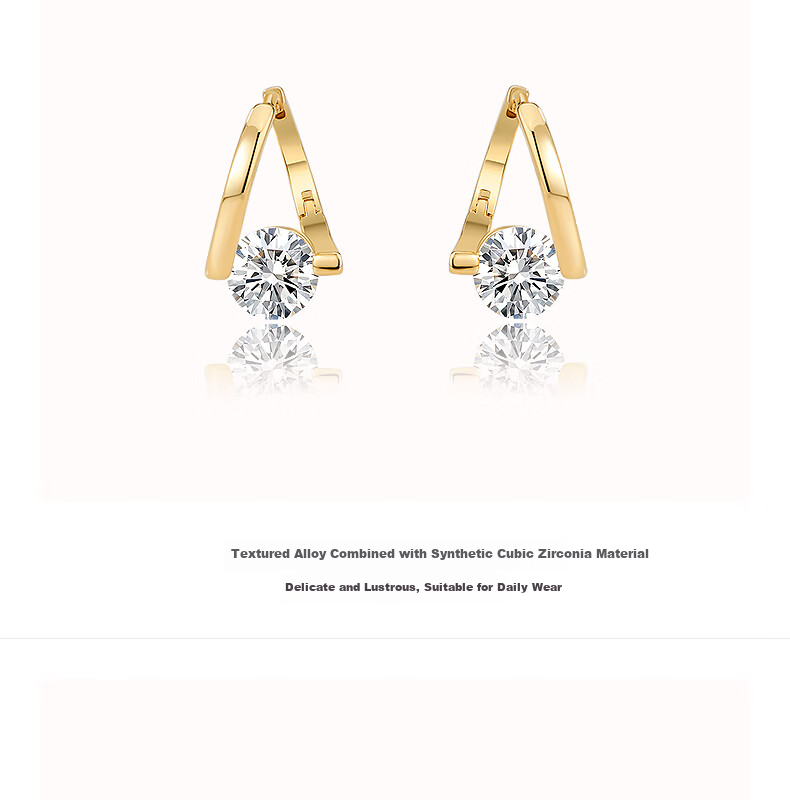 AJIDOU Women's Fashionable Leopard Print Alloy Earrings, Spring And Summer Popular Ear Jewelry Gift for Girlfriend on Mid-Autumn Festival 2