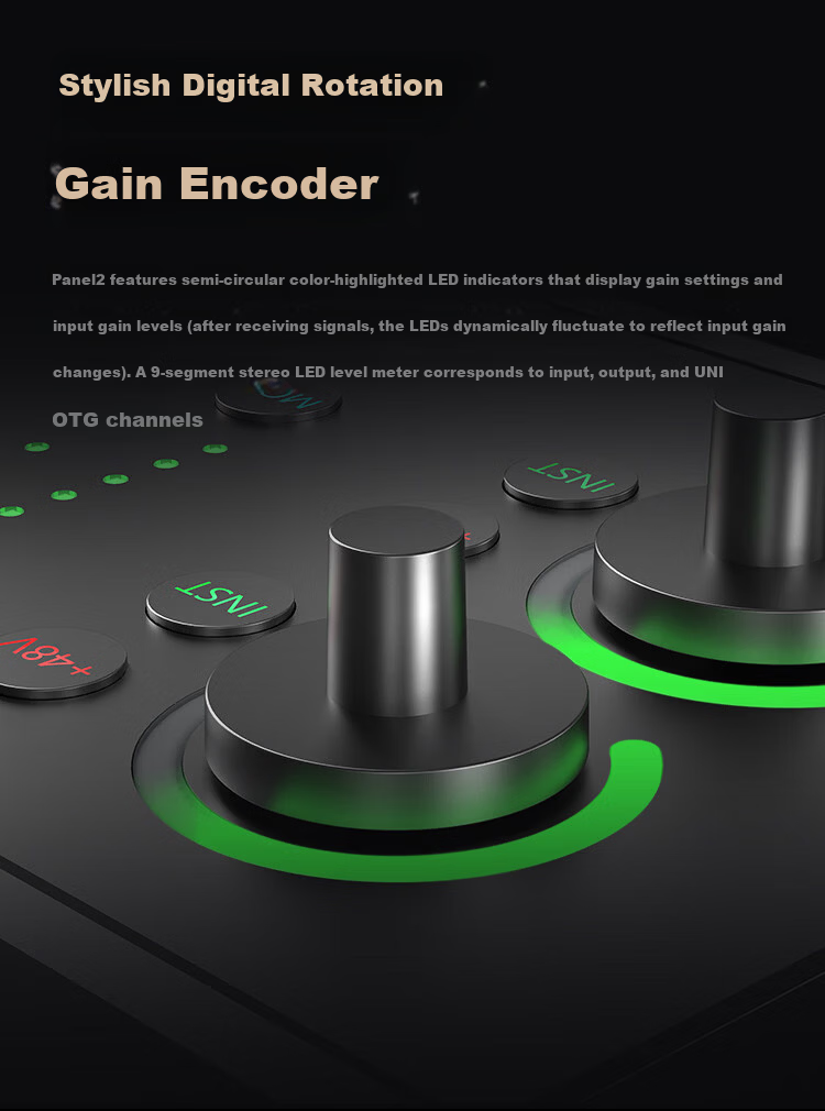 ICON Panel 2 Live Streaming Audio Interface P2 External Computer Sound Card Professional Host Singing KTV Recording Live Broadcast E-commerce Gaming Stage Performance Teaching Streaming Equipment 12
