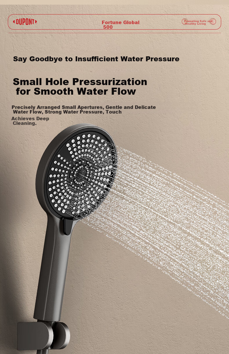 DU PONT Fortune Global 500 Large Panel Pressurized Handheld Shower Head 3