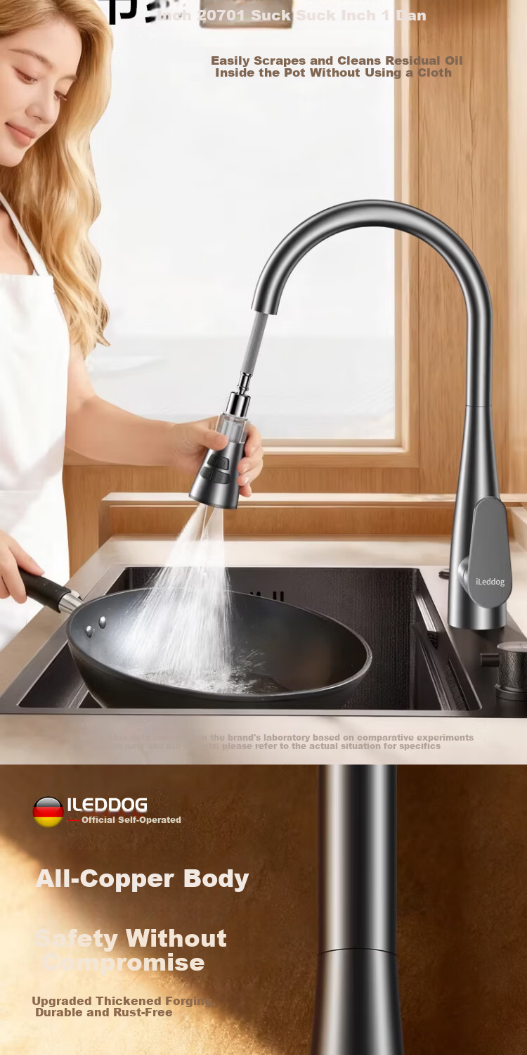 ILeddog [Germany] All-Copper Kitchen Sink Faucet with Hot and Cold Water, 2-in-1 Pull-Out Filter Faucet CPCL 11