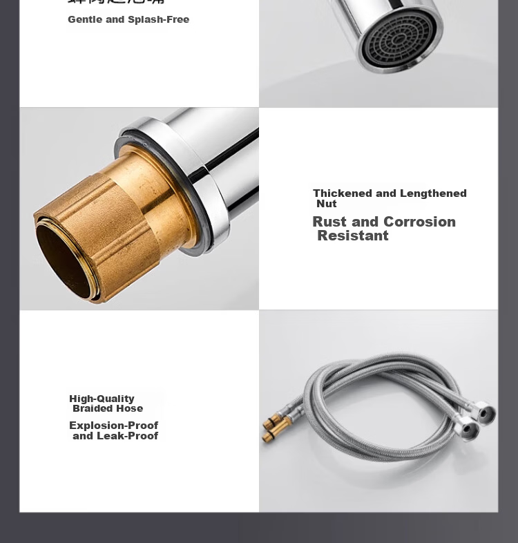 ILeddog [Germany] All-Copper Kitchen Faucet for Sink, Hot and Cold Swivel Tap CFLT-LR 12