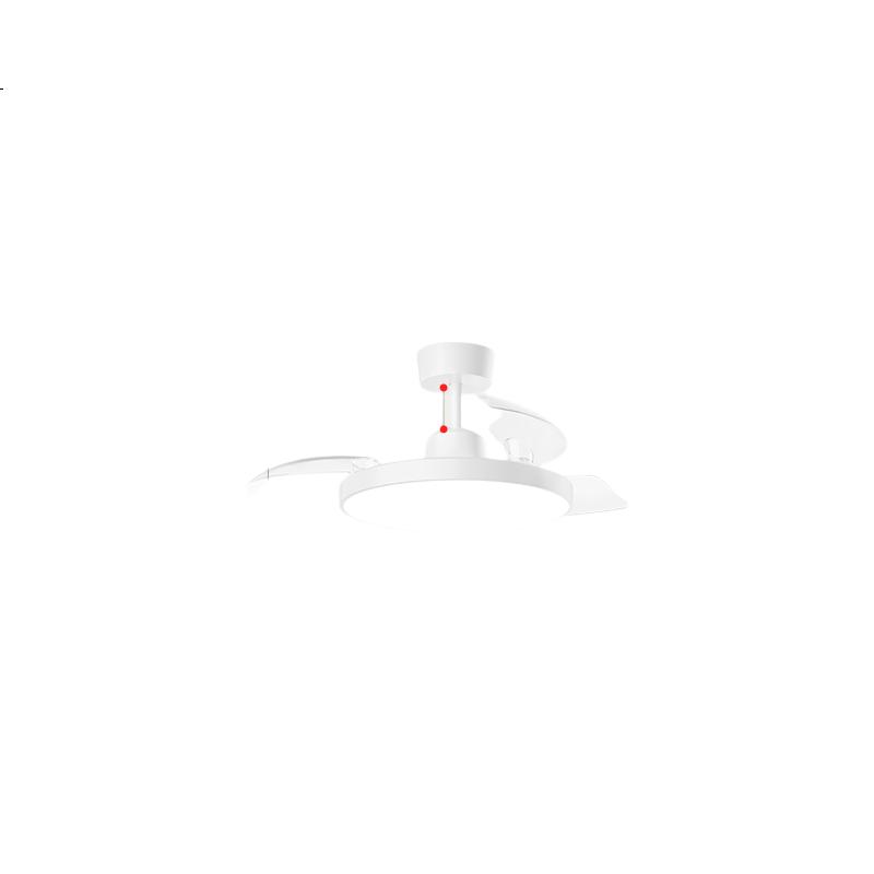 White Image 1