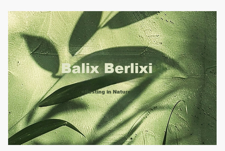 BALIX 【99.9% Antibacterial】Balixi Triple Protection Neck Pillow 60-Count Pure Cotton Anti-Mite Waterproof Oil-Resistant Wash-Free Class A 1