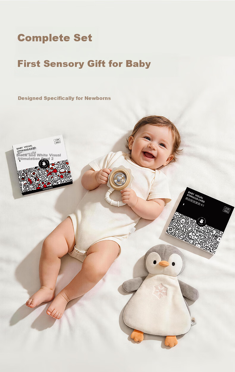 YEEHOO Baby Toy Soothing Sleep Plush Rattle Newborn Black and White Cognitive Cards Early Sensory Enlightenment Set 6