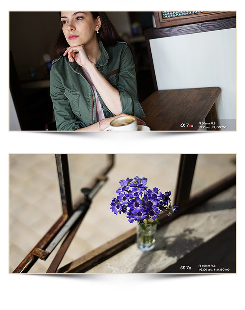 SONY FE 50mm F1.8 Full-Frame Standard Prime Mirrorless Camera Lens Portrait Prime Lens E-Mount SEL50F18F 9