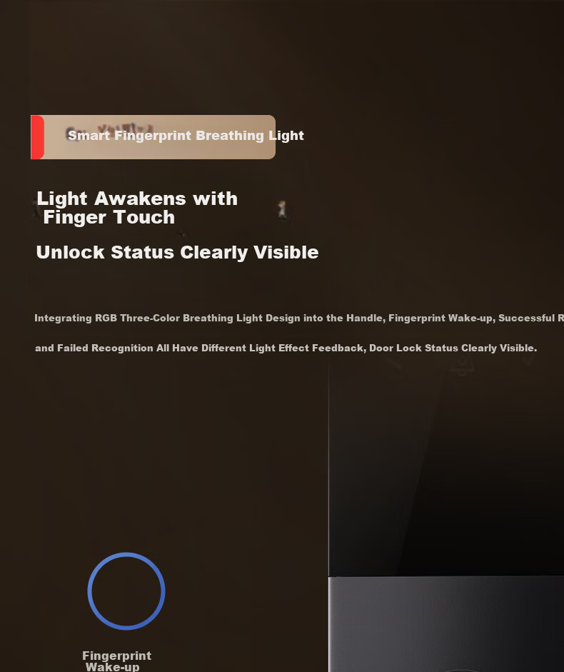Longting Deschmann Smart Door Lock Fingerprint Password T3 (9% Off in Jiadichao Head Live Room) 10
