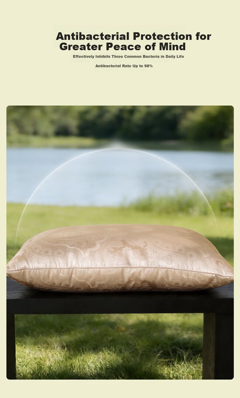 BelleSilk Silk Pillow Adult Pillow Core Silk Composite Pillow Single Neck Support Pillow for Deep Sleep 48*74cm 10