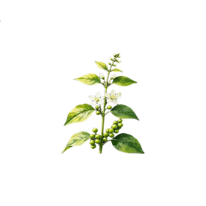 White Image 2