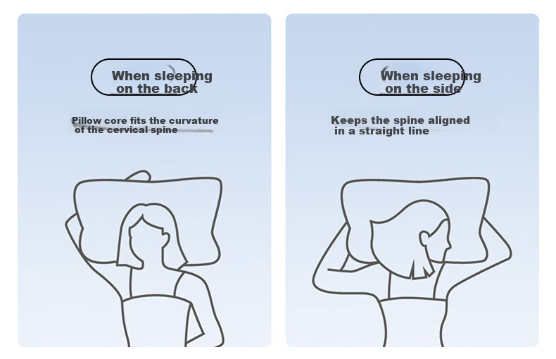 Eve's Elegance [Three-Proof] Five-Star Hotel Pillow Adult Cervical Support Deep Sleep Men's Pillow Core Single Piece 19
