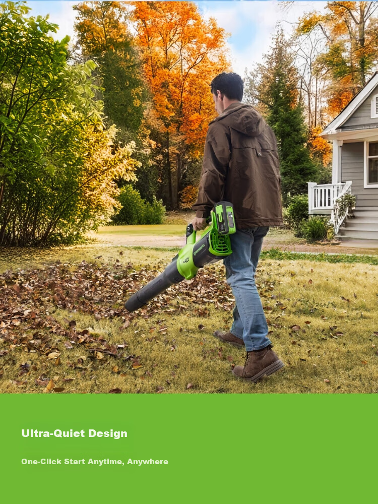 Greebo 40V Cordless Leaf Blower C13 Lithium Battery Snow Blower Garden Dust Blower Powerful Blower Bare Tool 8