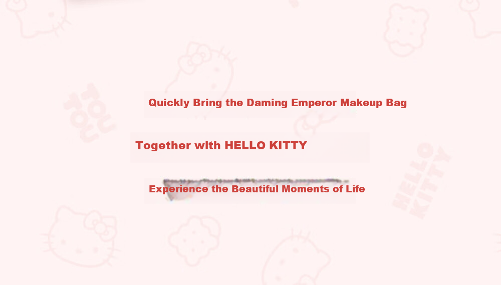 Toutou Hello Kitty Cosmetic Bag Toiletry Storage Pencil Case Children's Day Birthday Gift for Girlfriend 12