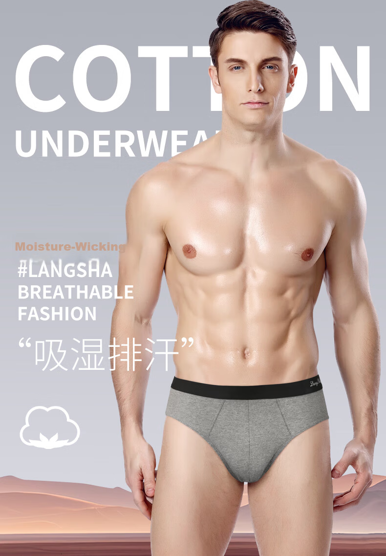 Langsha Men's Cotton Triangle Underwear 10A Antibacterial Mulberry Silk Crotch Breathable Briefs 4-Pack 1