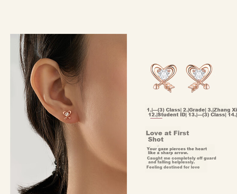 Burberry Luxury Weekly Stud Earrings for Women 2026 New Niche High-End Birthday Gift for Girlfriend Wife 8