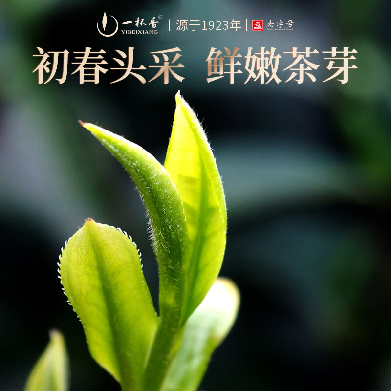 一杯香茶叶红茶正宗武夷山金骏眉特级125g礼盒装新茶自己喝散装伴手礼