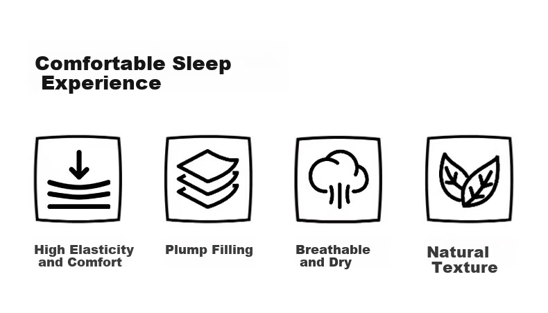 Grace Pure Cotton Shaping Pillow A-Class 7A Antibacterial Hotel Home Use Pillow Core Low Pillow Single 45*70cm 2