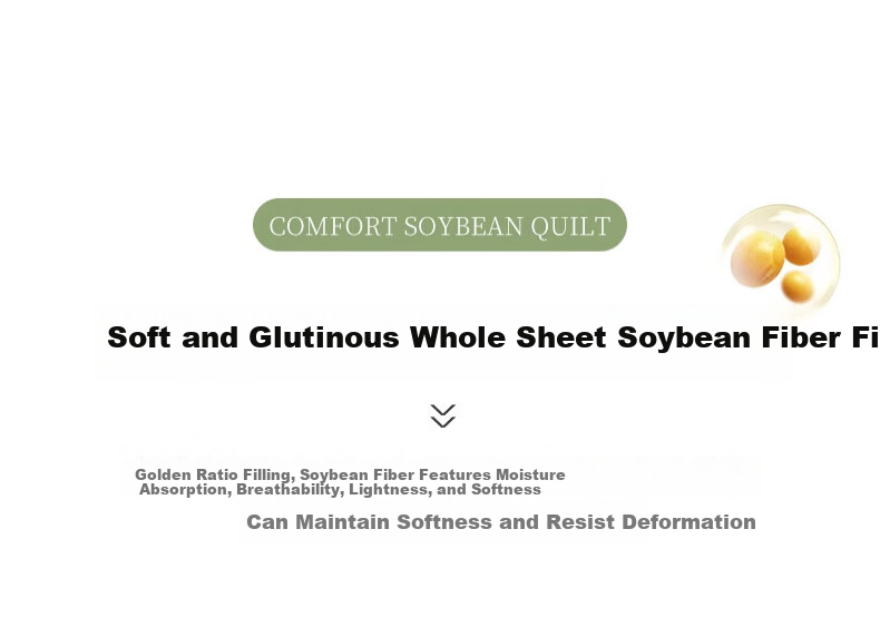 Yalu Class A Soy Fiber Quilt Air Conditioning Quilt Thin Comfort Breathable Quilt Core Gray 2x2.3m 4