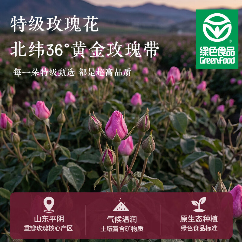 贡苑特级玫瑰花茶【绿色食品】平阴重瓣大朵胎玫瑰无硫花草养生茶
