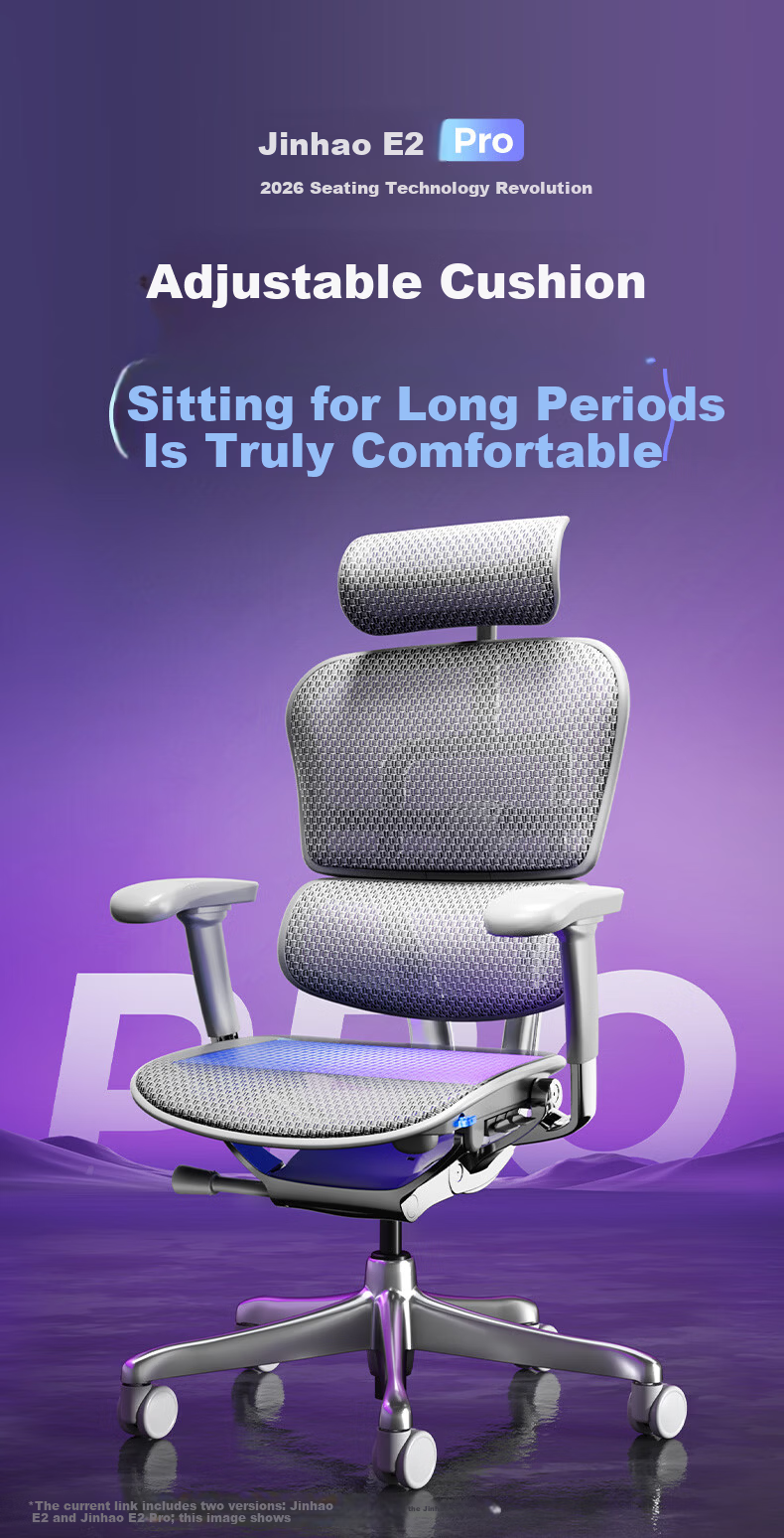 Ergonor Baoyou Jinhao E2 Pro Flagship Ergonomic Office Chair Computer Chair Silver White Mesh 4