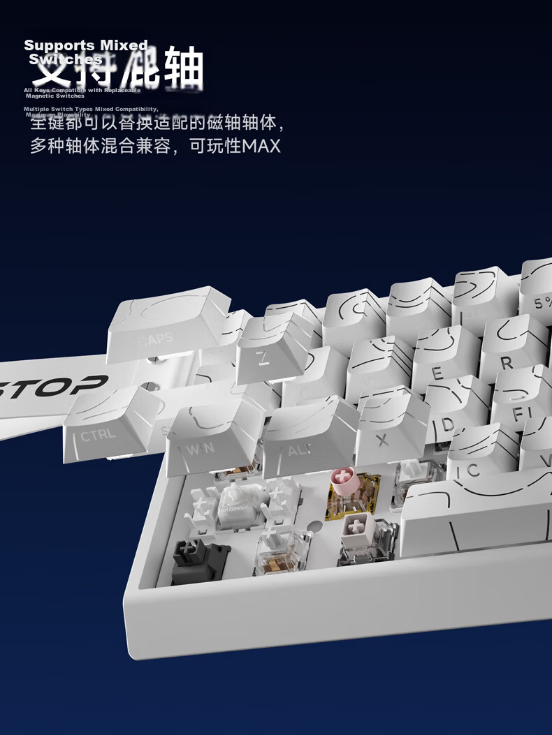 EWEADN DK63 Mechanical Gaming Keyboard Hot-Swappable Wired Customizable 63-Key Layout Side-Printed High-Quality Desktop Office 11