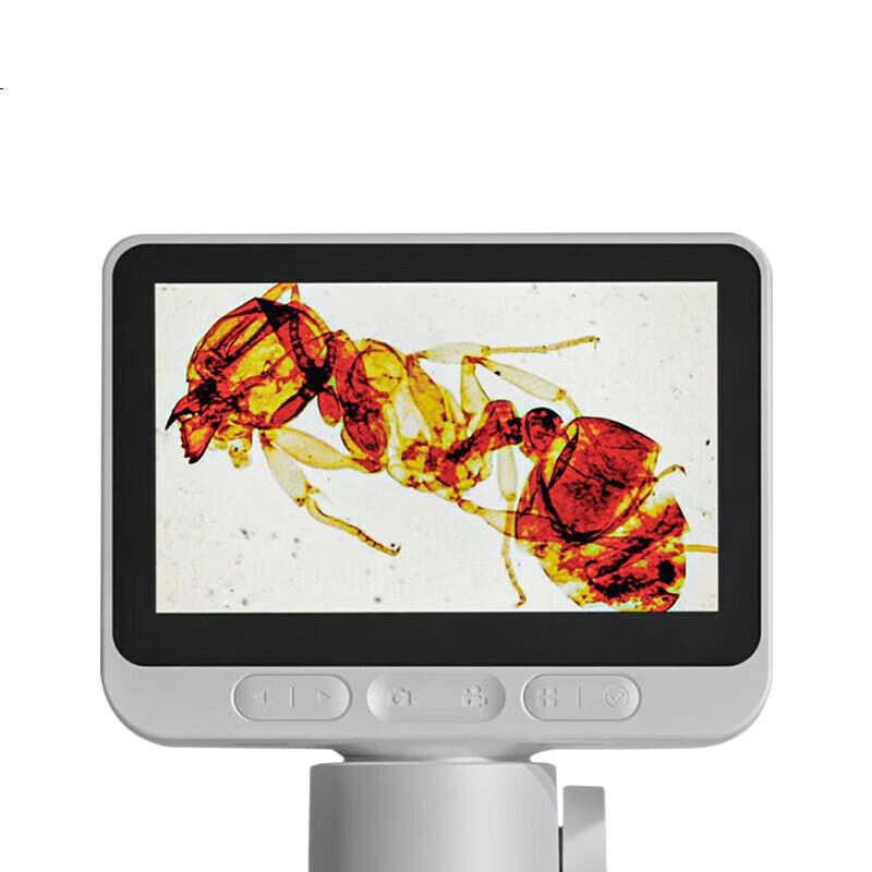 White Image 1