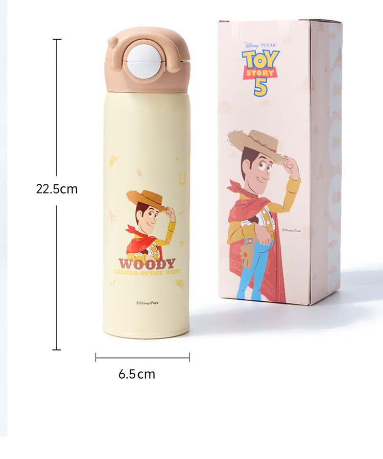 Disney Kids Insulated Straw Water Bottle for Boys Preschool Student School Toy Story Gift for Girls 14