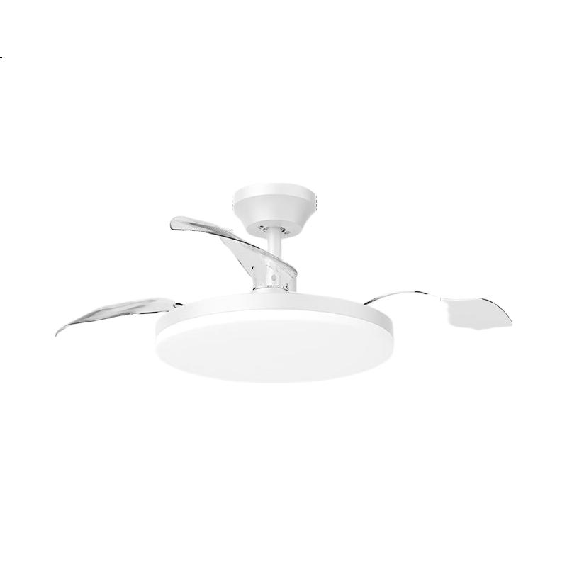 White Image 1