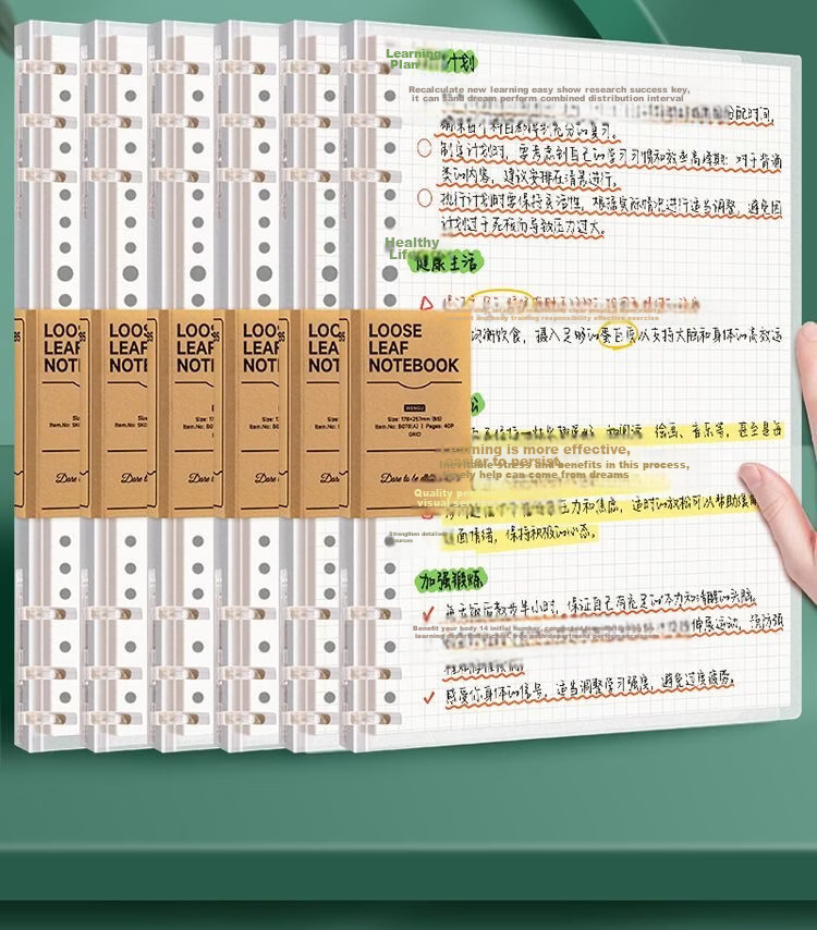 Wengu B5 Notebook Handwritten Loose-Leaf Book 40 Sheets Journal Diary for Middle School, High School, University Students, Detachable Office Business Meeting Supplies SK030-1 (B5) Lined Version 3
