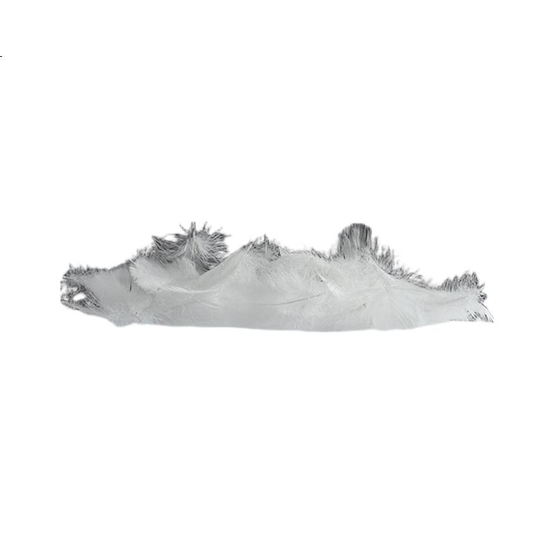 White Image 3