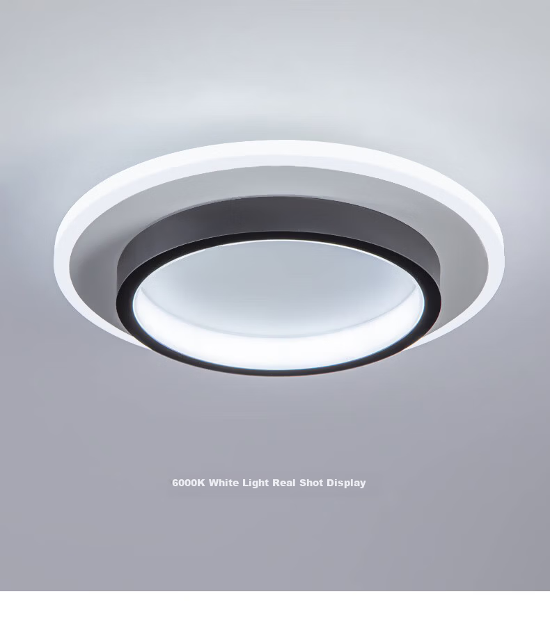 Dengling Ultra-thin LED Corridor Ceiling Light Modern Minimalist Nordic Cloakroom Popular Entrance Balcony Hallway Light 12