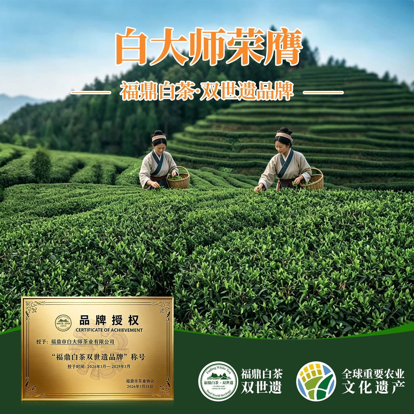 白大师茶叶福鼎白茶2017年陈皮白茶寿眉茶叶礼盒送礼自饮便携100g*2