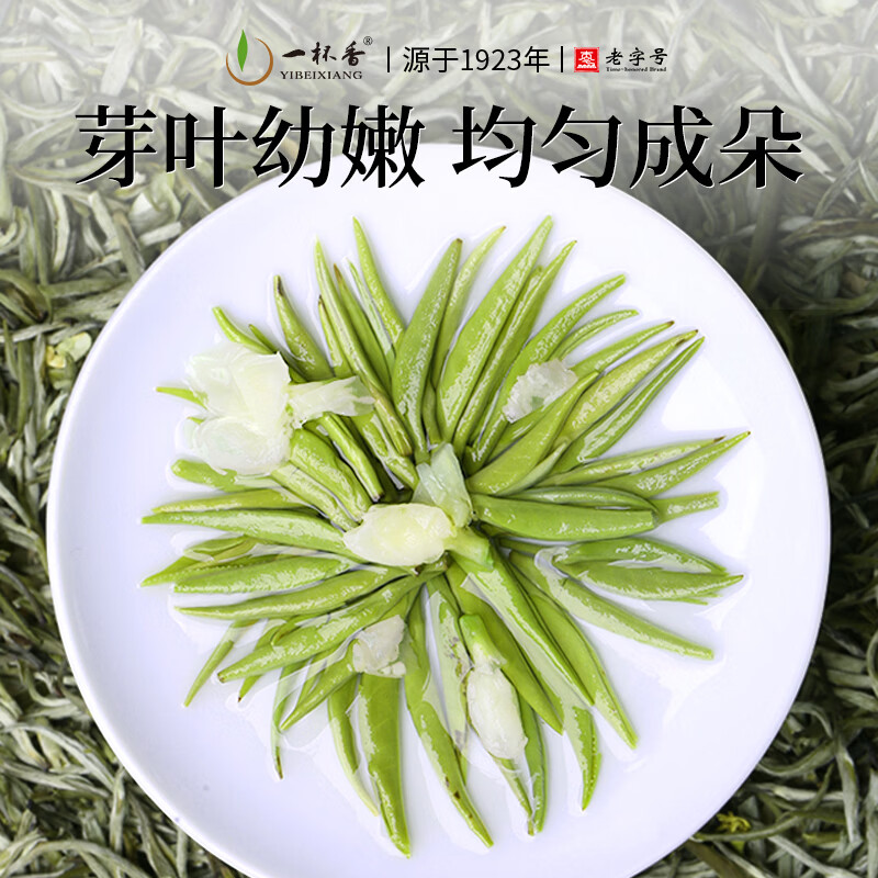 一杯香茶叶茉莉花茶银针横县特级200g2026新茶礼盒装送礼自己喝散装