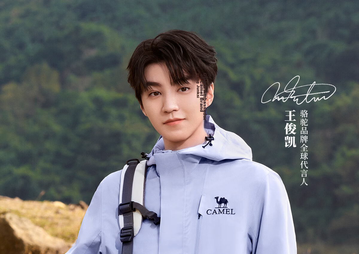 Camel [Wang Junkai Edition] King Kai Armor Single-Layer Windproof Waterproof Lightweight Mountaineering Jacket for Men and Women 2