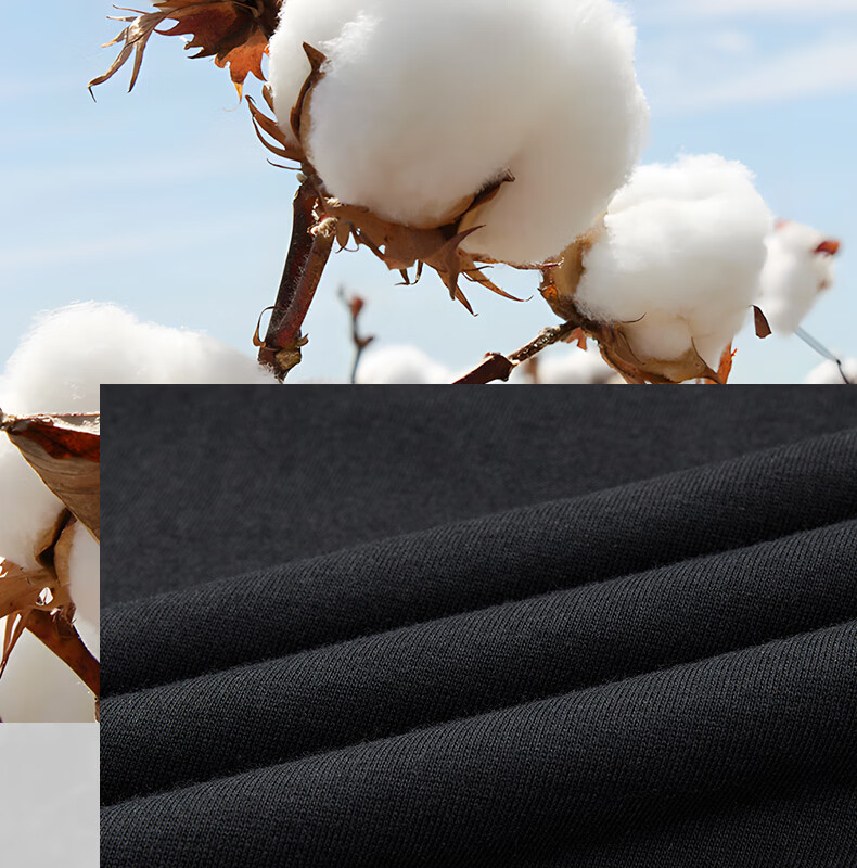 Peak Men's Summer Short Sleeve Pure Cotton Casual Loose Breathable Outdoor Xinjiang Cotton Sports Base T-Shirt DF652430 11