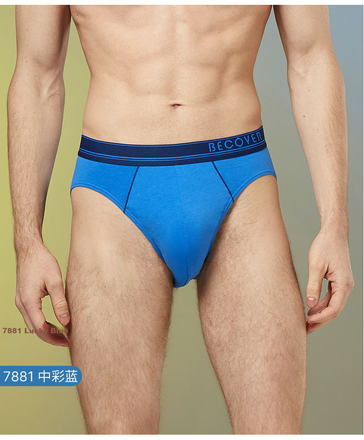 Schiesser Men's Briefs Combed Cotton Becover Series Breathable Mid-Rise Solid Color 2-Pack 12