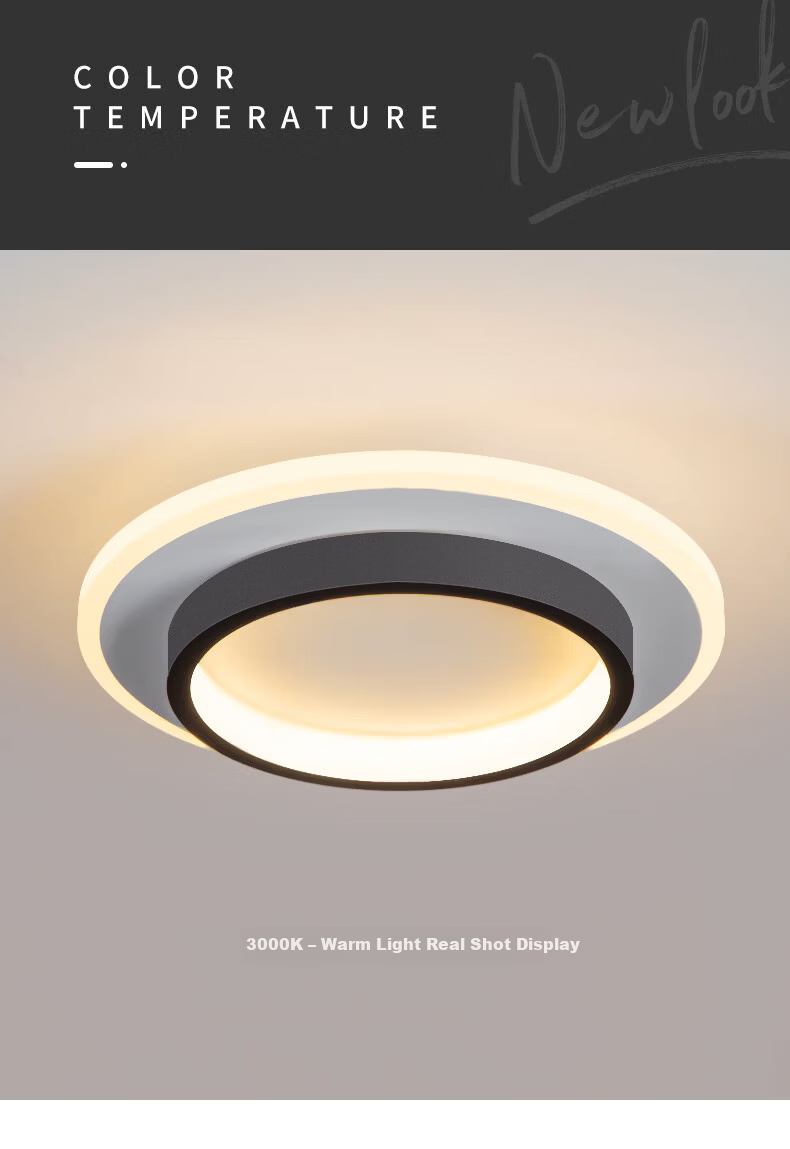 Dengling Ultra-thin LED Corridor Ceiling Light Modern Minimalist Nordic Cloakroom Popular Entrance Balcony Hallway Light 10