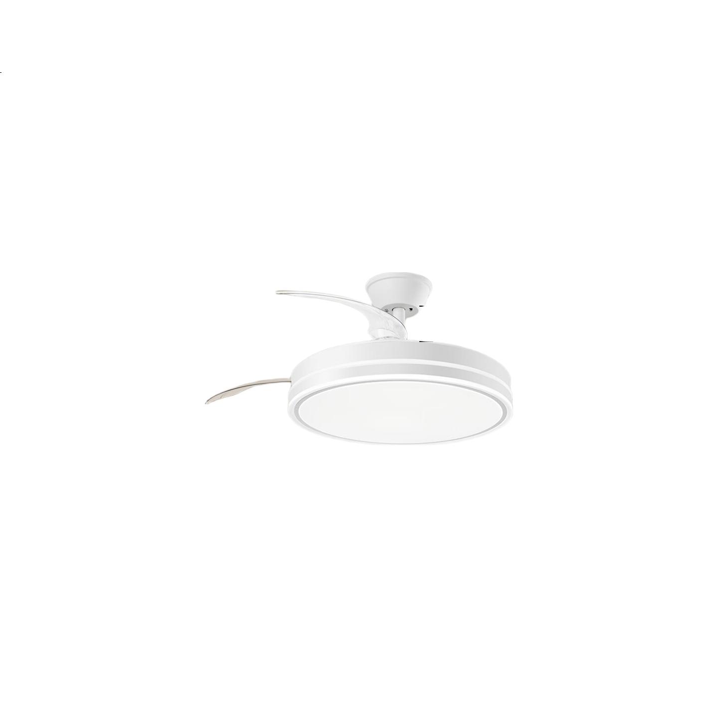 White Image 2