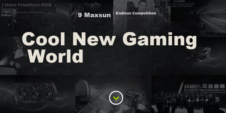 MAXSUN MS-GTX1650 TR 4GD6 Desktop Gaming Graphics Card 10