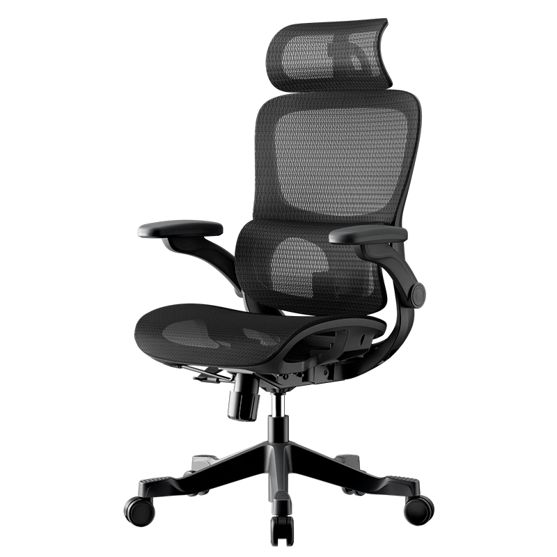 Hbada P2Pro+ Ergonomic Chair, Computer Chair, Office Gaming Chair, Biomechanical Seat with Adjustable Depth