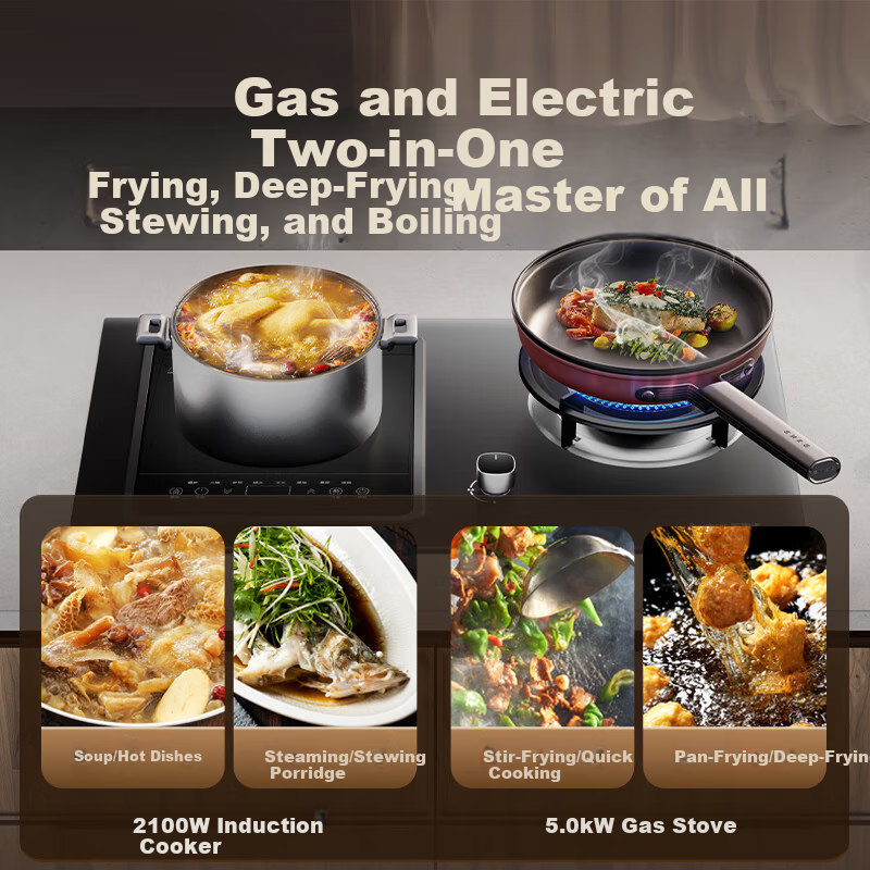 Royalstar Extraordinary Series Dual Fuel Gas and Electric Stove Built-in Double Burner Gas Cooker with Copper Burner Cap JZDY-25A1 Left