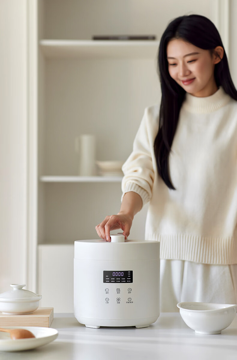 Olayks Instant Electric Pressure Cooker High-Pressure Rice Cooker Multifunctional Smart Mini Pressure Cooker 2.5L 17