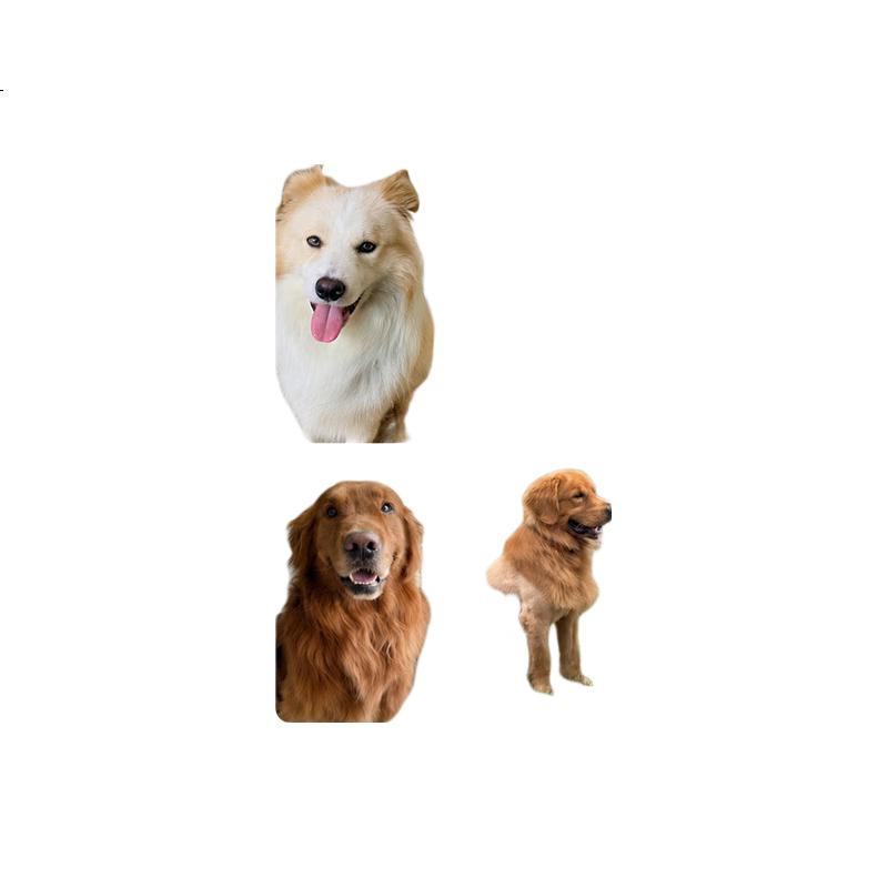 White Image 1