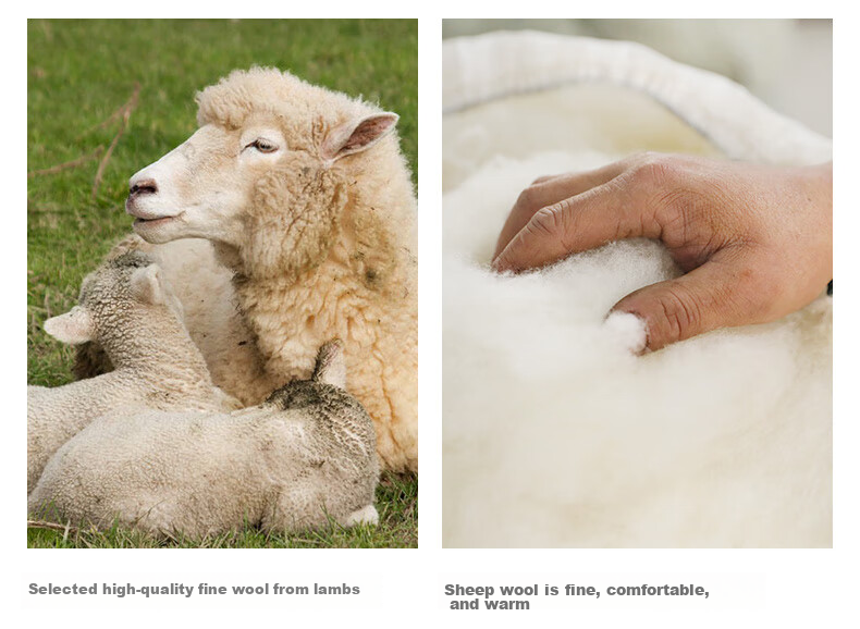 BOHOBOCO 100% Wool Shawl Scarf Summer Air-Conditioned Room Soft Lambswool Warm Versatile Skin-Friendly Nap Blanket Camel Color 5