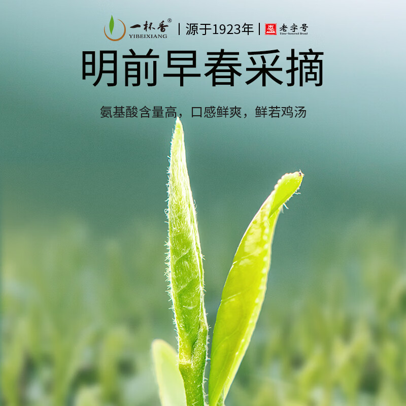 一杯香茶叶绿茶明前安吉正宗白茶200g2026新茶春茶礼盒装自己喝散装茗茶