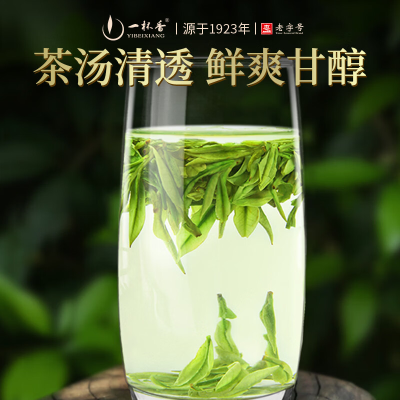 一杯香茶叶绿茶明前安吉正宗白茶200g2026新茶春茶礼盒装自己喝散装茗茶
